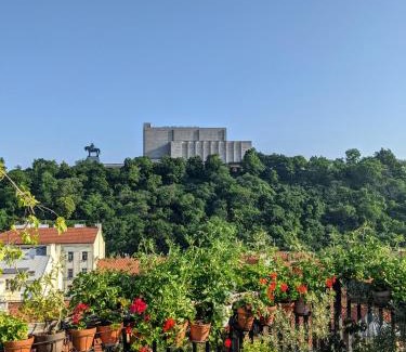 Zizkov Casa | Guestrooms, rooftop with garden, spacious living room, character and fireplace
