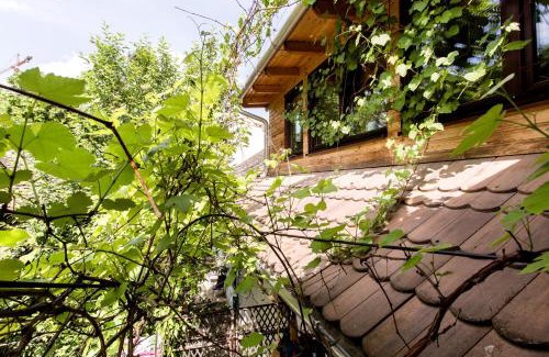 Felheviz Apartamento | Gul Baba Saray Apartments