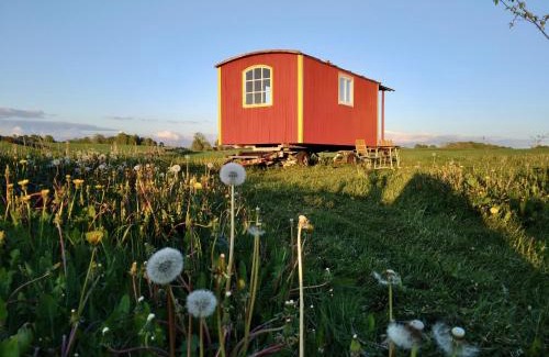 Horby Cama Y Desayuno | Gula Vagnen på en äng i lantlig miljö