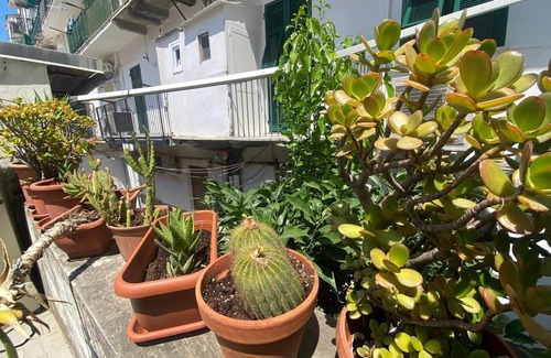 La Spezia Historic Centre Apartamento | Gulf of poets home