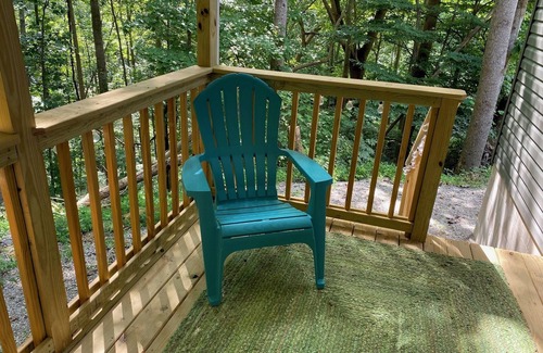 Williamson Cabina | Gunner's Goat House at Billy Goat Mountain Village