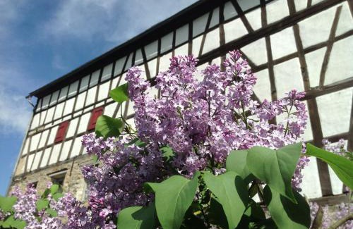 Runkel Casa | Gut Bunt Ferienhaus