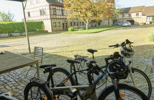 Erlabronn Casa | Gutshof Familie Gress