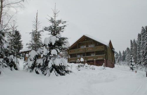 Yablunytsya Cabina | GUTSULWOOD