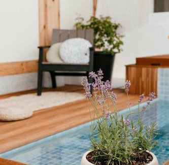 Gyeongju Casa | Gyeongju Hanok Sohwa
