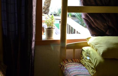Gyeongju Casa | Gyeongju Momojane Guesthouse