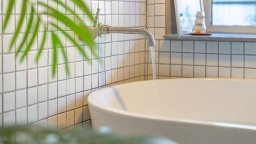 Gyeongju Casa | gyeongju planb pet pension