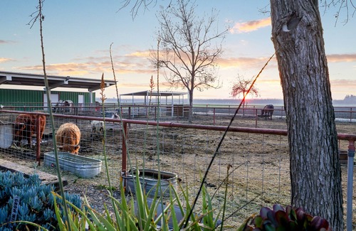 Tulare Apartamento | Gym, Pool Table, & Country Views @ The Sunset Loft | 2 Bed, 1 Bath