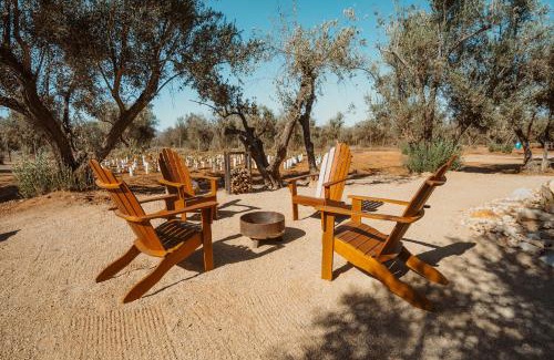 Valle de Guadalupe Complejo | Hábimo - Valle de Guadalupe