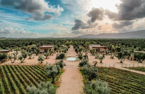 Valle de Guadalupe Complejo | Hábimo - Valle de Guadalupe