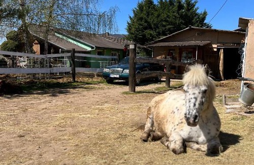 Pecsvarad Apartamento | Hárpia Fészek