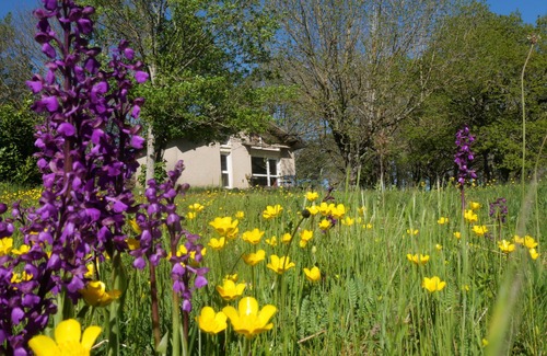 Cuxac-Cabardes Chalet De Esquí | Hébergement Nature à 25 Minutes de Carcassonne