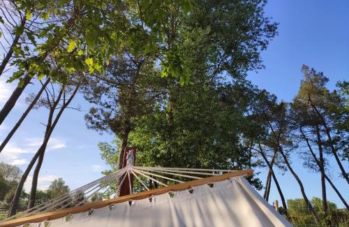 Grezet-Cavagnan Casa | Hózhó Tempo - Sous les pins, Bed & Breakfast écofriendly & slowlife avec sauna