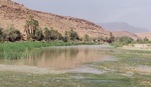 Ksar el Borj Casa | HÔTE SAHARA