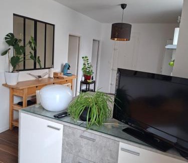 Saint-Etienne Apartamento | Hôte Stéphanois &parking