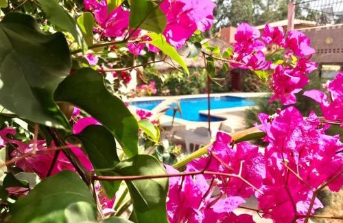 Toubakouta Cama Y Desayuno | HÔTEL LE DJIOSFALA miroir de la Terranga