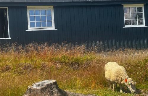 Loten Municipality Casa | Høstkos og ro på Budor i vinterferien , 4 roms hytte med peis og wifi