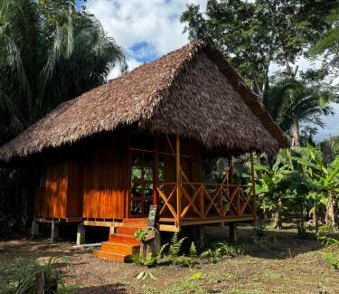 Tambopata Cabina | Hacienda Herrera Tambopata