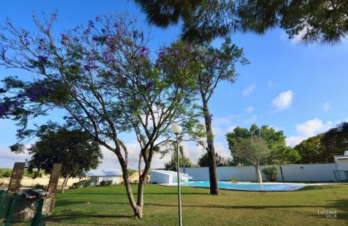 Puerto Real Apartamento | Hacienda Laguna Seca - Apart. Lavanda