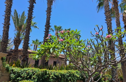 Cabo Bello Casa | Hacienda las Ballenas-four bedrooms