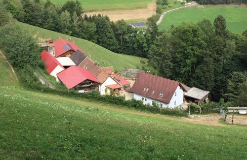 Bad Schonau Casa | Haflingerhof Luef