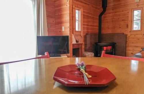 Echo Land Apartamento | Hakuba Powder Cottage Deep