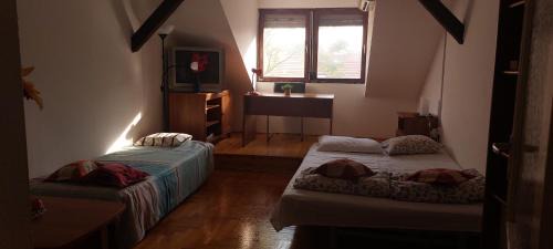 Orszagut Casa | Hakuna Matata - Room in Budapest - Near Buda Castle, Parliament and Margaret Island