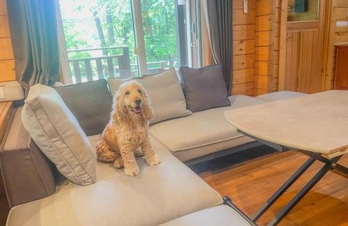 Hakuba Casa | HAL Cottage