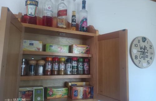 Serneus Apartamento | Haldi Apartment