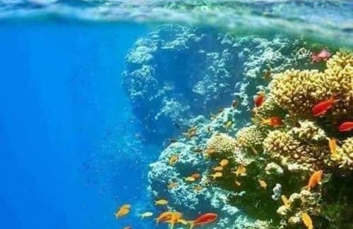 St. Catherine Apartamento | Half Moon - Sunny Dahab resort