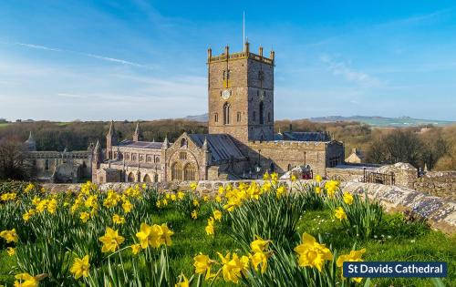 St Davids Casa | Halfways