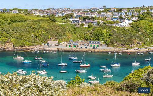 St Davids Casa | Halfways