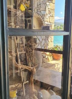 Stoupa Apartamento | Halikoura Beach Apartments