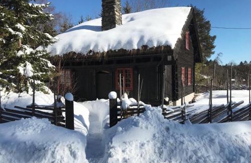 Slemdal Casa | Hallingstua