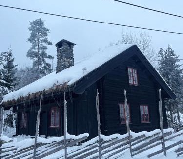 Slemdal Casa | Hallingstua