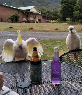 Halls Gap Cabina | Halls Gap Valley Lodges