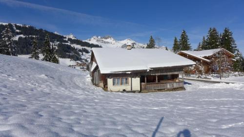 Adelboden Casa | Hami