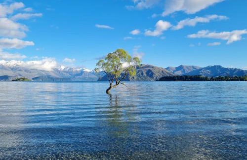 Wanaka Otro | Hampshire Holiday Parks - Wanaka