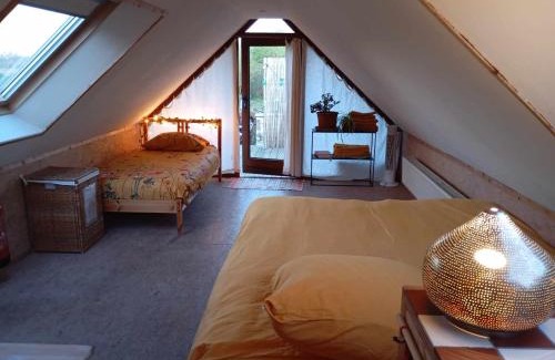 Sint-Maria-Latem Casa | Hanami - tuinkamer