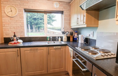 Saltburn-by-the-Sea Cabaña | Handale Banks Farm Lodge