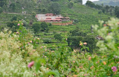 Kotagiri Complejo | Hanging Huts Resorts