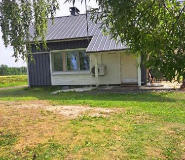 Iisalmi Complejo | Hanhenpesä