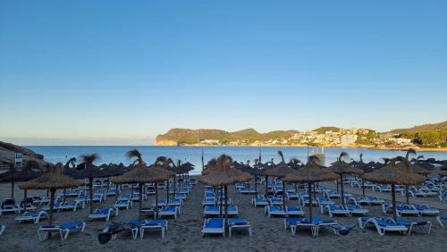 Peguera Apartamento | Hapimag Resort Paguera