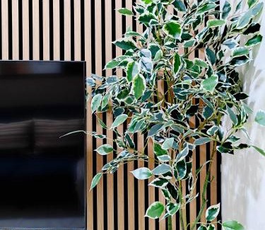 Qormi Apartamento | Happiness