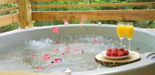 Gatlinburg - Pigeon Forge Casa | Happy Camper cottage