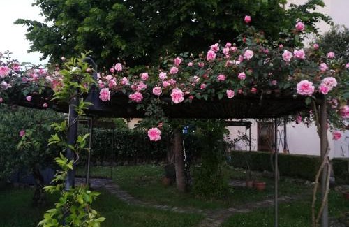 Viggianello Cama Y Desayuno | Happy Family B&B
