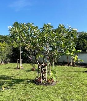 Kao Yai Casa | Happy House