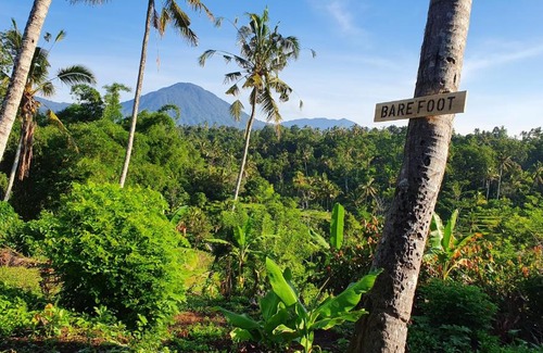 Penebel Cabina | Hara Bali Eco Homestay