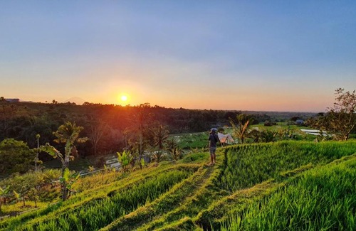 Penebel Cabina | Hara Bali Eco Homestay