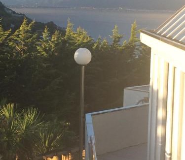 Wellington Cabina | Harbour Lodge Wellington